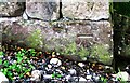 Benchmark on corner of wall beside track at Appleside Farm