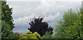 Storm Clouds over Enfield