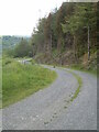 Trac fforest uwchben / Forest track above Cwmrhysifan, Llanllawddog