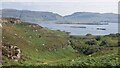 NM4239 : View south from Ulva by Richard Webb