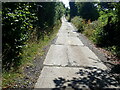 Concreted western end of Wild Forest Lane