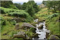 Hebden Beck at Hole Bottom