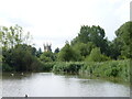 Pershore Abbey tower from the Avon Wetlands