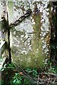 Benchmark on gatepost at gateway into conifer plantation at Ladyrigg Farm