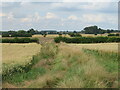 Field track off Eastfield Lane