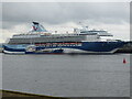 NZ3567 : Cruise ship moored on the River Tyne by Jeremy Bolwell