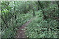 SO3121 : Path in Strawberry Cottage Wood LNR by M J Roscoe