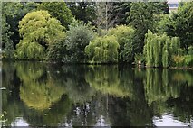 TQ2879 : View of willow trees reflected in the lake at the back of Buckingham Palace Gardens by Robert Lamb