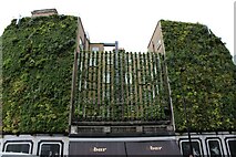 TQ2879 : View of a planted wall on the side of B Bar on Buckingham Palace Road by Robert Lamb