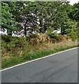 NS9170 : Roadside boundary by Jim Smillie