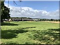 Cattle Grazing at Netherwood Farm