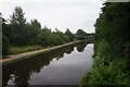 Walsall Canal from Tame Valley #2 Bridge