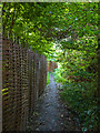 Footpath towards Digswell