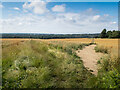 Bridleway to the left; footpath to the right