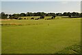 North Foreland Golf Course