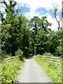 Bridge and woodland on Wray Valley Trail