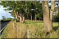 Woodland edge at Corraith