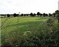 Old hedge lines at Newfield