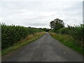 Minor road heading east towards the A435