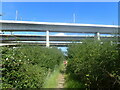 TQ7266 : The Medway Bridges by Marathon
