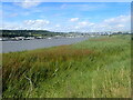 Looking towards the Medway Bridges