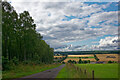 Fields of the central Black Isle, August