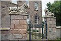 NU0052 : Pot Lions at The Lions House Berwick-upon-Tweed by Jennifer Petrie