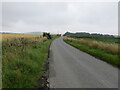 Chapel Road near Gagie