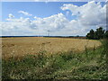 TL2467 : Barley field near Top Farm by Jonathan Thacker