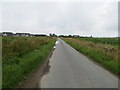 Chapel Road approaching Bucklerheads