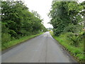 NO4535 : Tree-lined road entering Kellas by Peter Wood