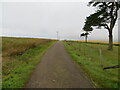 Track giving access to Upper Knox Farm