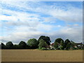 Field and house on High House Lane Albrighton