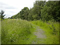 Track north of Askern