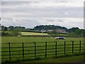 Sheep, Corby Hill