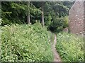 Path, Townhead Wood