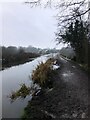 Macclesfield Canal, Hightown, Congleton