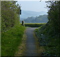 Path to Gwyllt Road