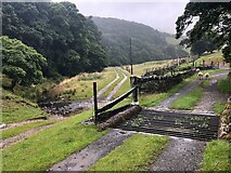 SJ9575 : Cattle Grid on track just before the track crosses River Dean by Philip Cornwall