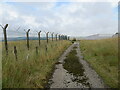 NO8280 : Track between fencing that protects the Communication Masts on Bruxie Hill by Peter Wood