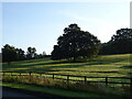 Grazing beside the B4632