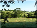 Grazing, Cockbury