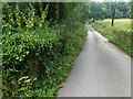 A lane into the estate