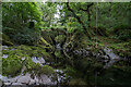 Roman Bridge & River Machno, Penmachno