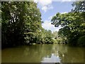 Leys Bend, River Teme