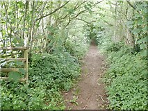 SO5269 : Barrett's Mill Lane by Richard Webb