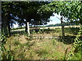 Old farm machinery in the field margin