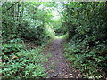 Llwybr ger Plas Glansefin / Path near Plas Glansefin