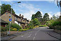 Balgonie Woods, Paisley