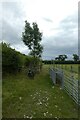 Bridleway beside the A19